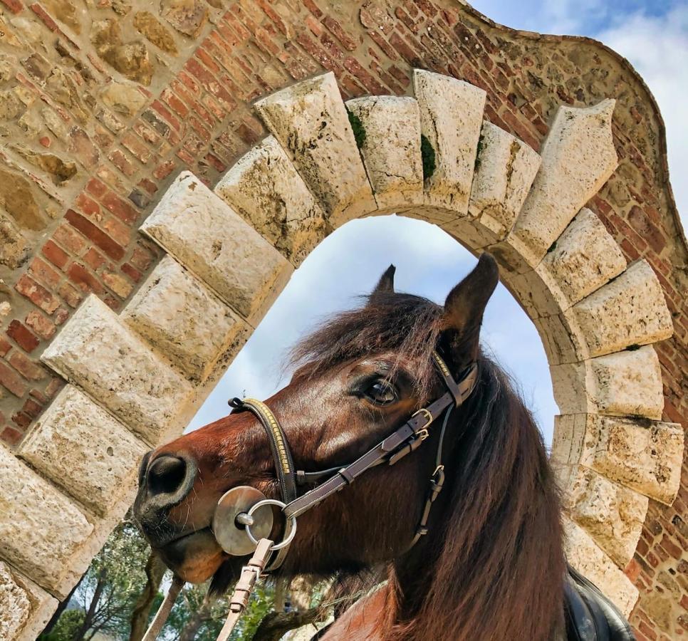 Tenuta I Mandorli Peccioli Esterno foto